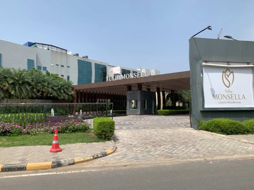 tulip monsella gallery view